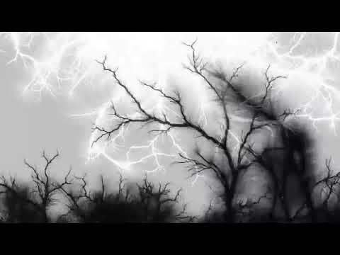 RanchaTek, WD2N - Iridium (Original mix)