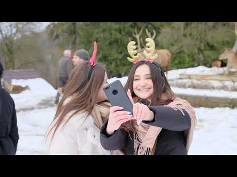 Târgul de Crăciun din Sibiu și Brașov + Castelul de Lut și Ferma de Cerbi