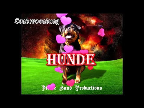 Dicker Hund Sondersendung/Special: Hunde/Dogs