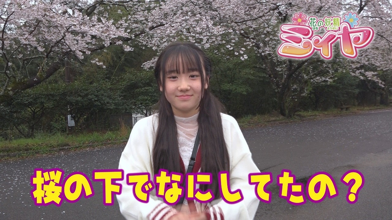 桜の下でテレビ番組撮影スタート♪ 4月29日放送！花の妖精ミィヤ 最新作の撮影がはじまりました！ 楽んでもらえる作品になるようにスタッフ一同がんばります！