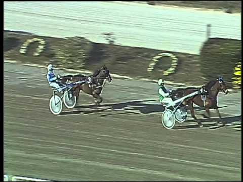 Trotto 31/12/2015 - prova di qualifica