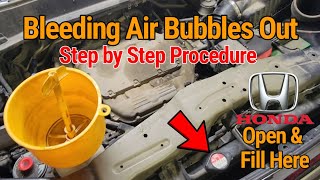 V7: Honda Pilot 3.5L Easy D.i.Y. Purging Out Air Bubbles in the Coolant System.