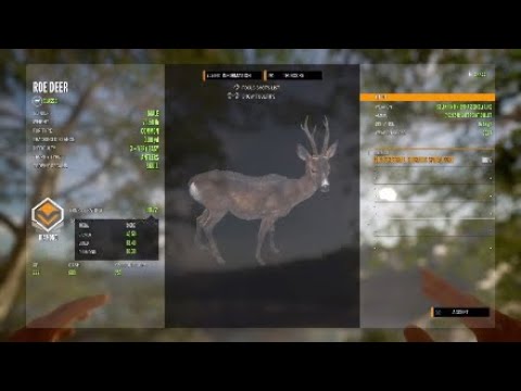 Road To A Diamond Ep.7 | Diamond Roe Deer