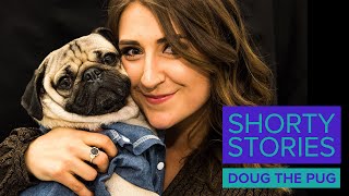 Shorty Stories with Doug the Pug || SHORTY AWARDS