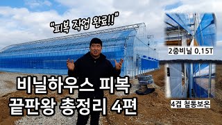 비닐하우스 피복 끝판왕 총정리 3편 #그린첨단과학온실 #비닐하우스 #골조공사 #꿀팁 #총정리 #끝판왕