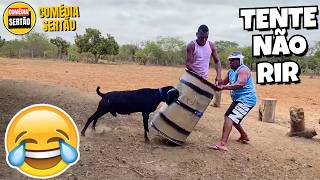 TENTE NÃO RIR - Vídeos Engraçados 2026 e Melhores Memes - #34