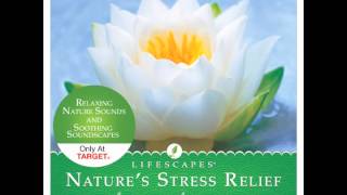 Reflections from Nature&#39;s Stress Relief