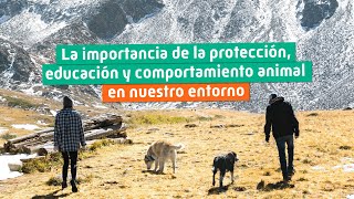 Evento completo PARTE I