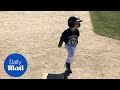 Boy attempts to slide to base during first T-ball game - Daily Mail