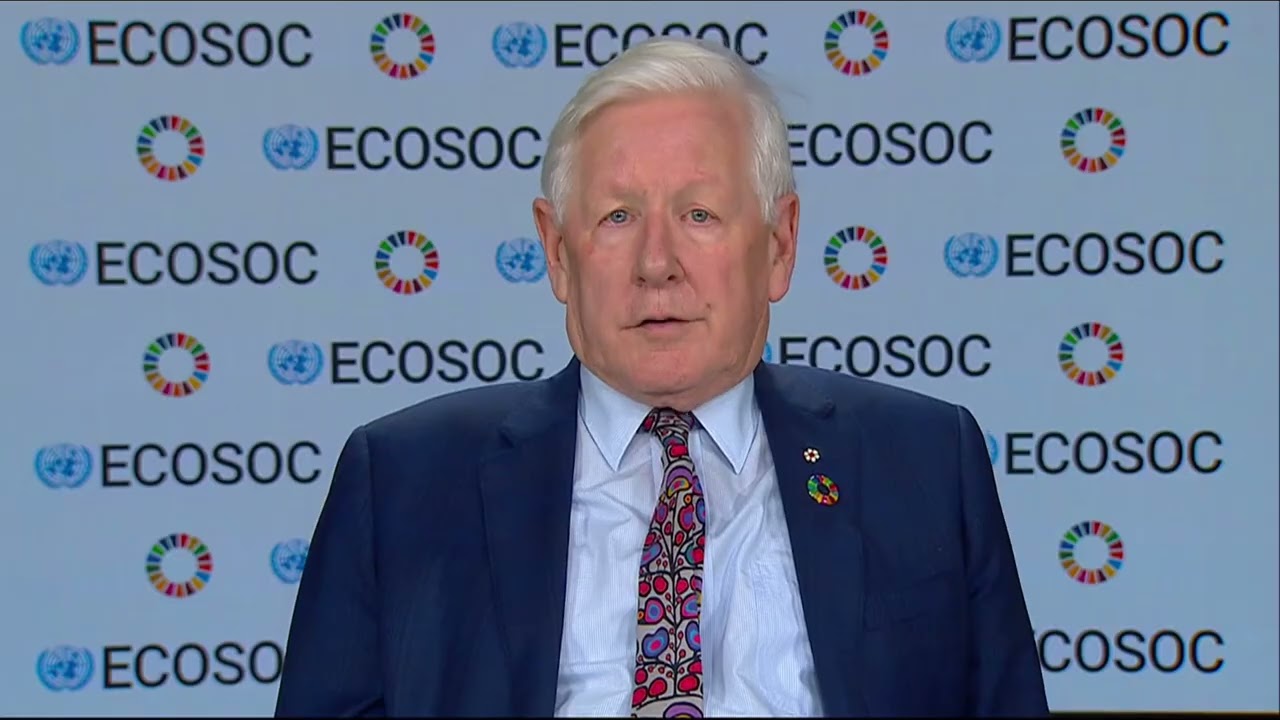 The President of ECOSOC at the First Global Workshop of the VNRs