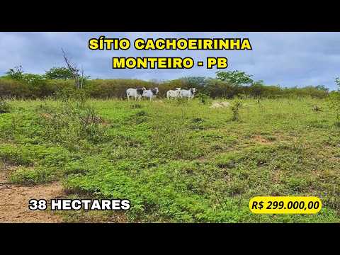 SITIO CACHOEIRINHA EM MONTEIRO-PB - Vídeo