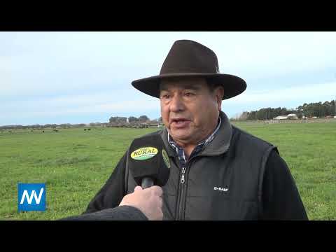 ANGUS | Cabaña Las Blancas de Delfinagro S.A.