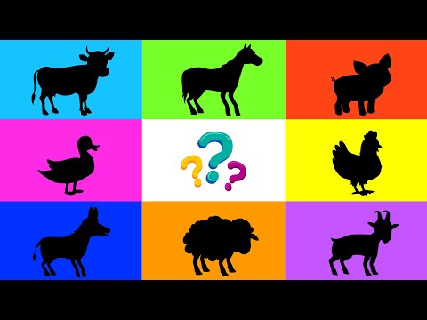 Zwierzęta dla dzieci - Na wsi - Nauka zwierząt