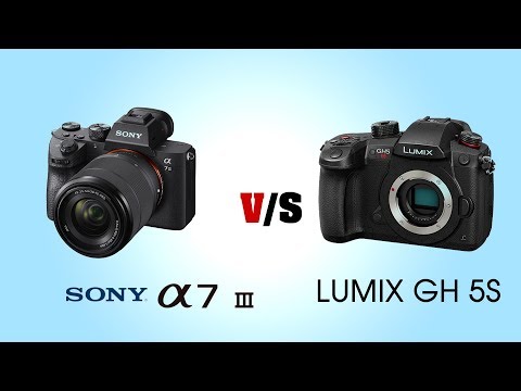 SONY Alpha A7 III vs Panasonic LUMIX GH5S
