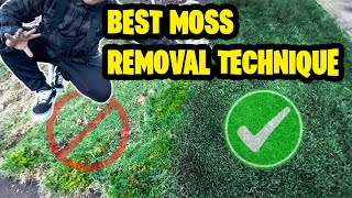 HOW TO REMOVE MOSS FROM YOUR LAWN! Treated vs Untreated Results ~2 Step process ~