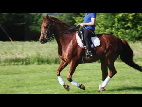 Par Coeur Sale Video