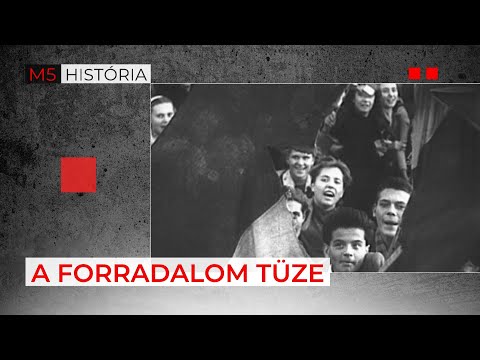 Petőfi Kör, Szeged és Debrecen: így indult az ’56-os forradalom – M5 História