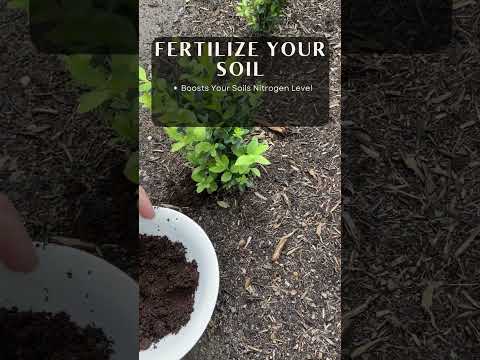 Used Coffee Ground Hacks (part 1)