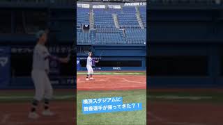 パイレーツで大活躍だった筒香嘉智選手が横浜スタジアムに帰ってきた？！？！#チャンネル登録よろしく #tiktok #ドッキリ #モノマネ#横浜スタジアム #横浜denaベイスターズ #筒香嘉智
