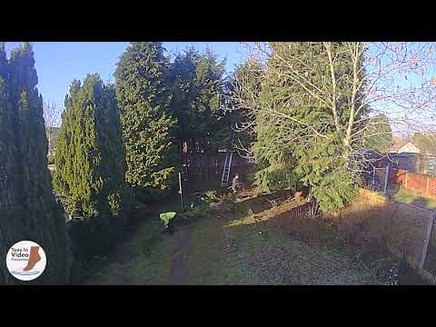 Hedge and tree care services video.