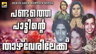 പണ്ടത്തെ പാട്ടിൻറെ താഴ് വേരിലേക്ക് | Old Is Gold Mappila Songs | Pazhaya Mappila Pattukal