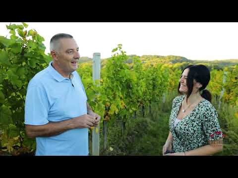 Umetnost u čaši ep. 103 26.10.2021. Podrum "Lukić", Ljig, II deo