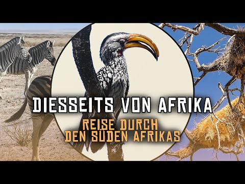 Diesseits von Afrika - Reise durch das südliche Afrika Teil 10/17