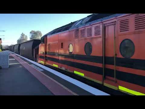 Pacific National  train NR109 NR63. SSR Grain train With CLP12 GM27 S303 S311 CLF4