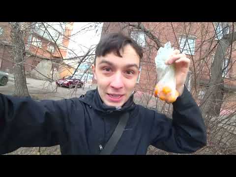 ВПЕРВЫЕ ПРОБУЮ КУМКВАТ