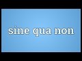 Sine qua non Meaning