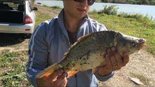 Рыбалка станица суворовская в ставропольском крае