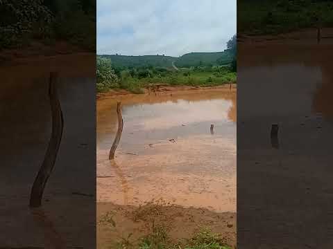 Chuvas fortes contribuem para o abastecimento, dos açudes em Jatobá Maranhão