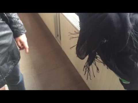 Tennis travels by Sashka Oliynykova: a scarf alien revealed!