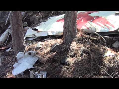 Historical Context: Beechcraft Model 95 Operations