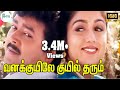 Vanakkuyile Kuyil Tharum வனக்குயிலே குயில் தரும் S P B Lov
