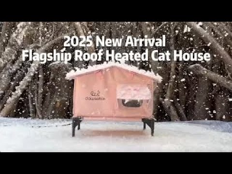 See Their New Space
