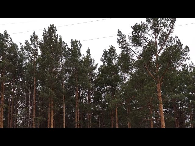 В Приангарье продолжает действовать режим повышенной готовности