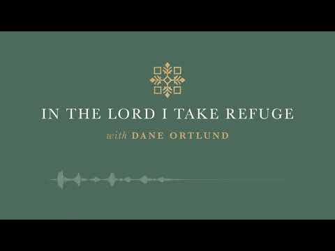 In the Lord I Take Refuge: Psalm 18 - The Lord Is My Rock and My Fortress