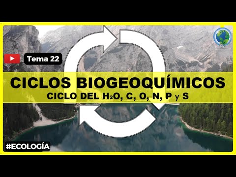 ✅What are the 6 important cycles of life on Earth? | #ecology ♻️