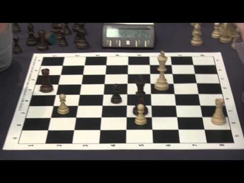 2014-01-16 Rapid Dvorkovich mem. Taganrog