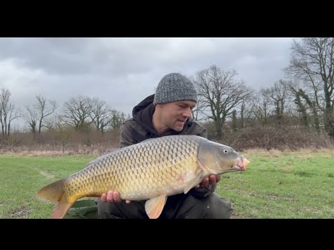 UK Carp Diaries 14.5. OPFF, 48 HRS