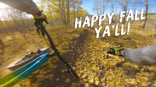 The leaves can be slippery on the 409.5, but it's still worth it!