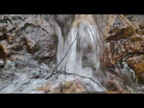 Campo turístico criador 79 9 has Corte de la Leña Uruguay