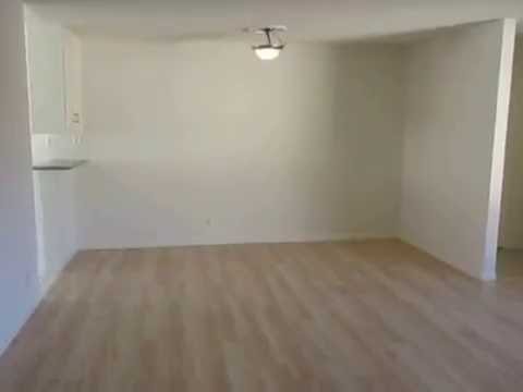 PL6241 - Spacious 1 Bed + 1 Bath Apartment For Rent (Santa Monica, CA).