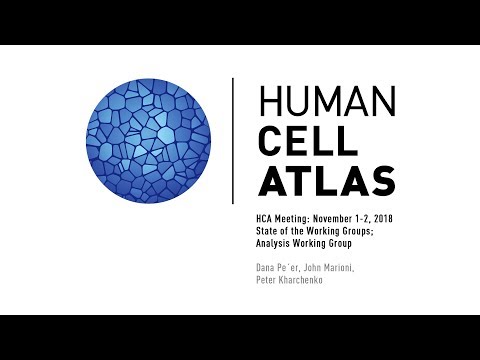 HCA Meeting: State of the Working Groups - Analysis Working Group