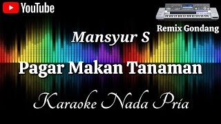 Download lagu Mansyur S - Pagar Makan Tanaman Remix Gondang [Karaoke] Nada Pria mp3