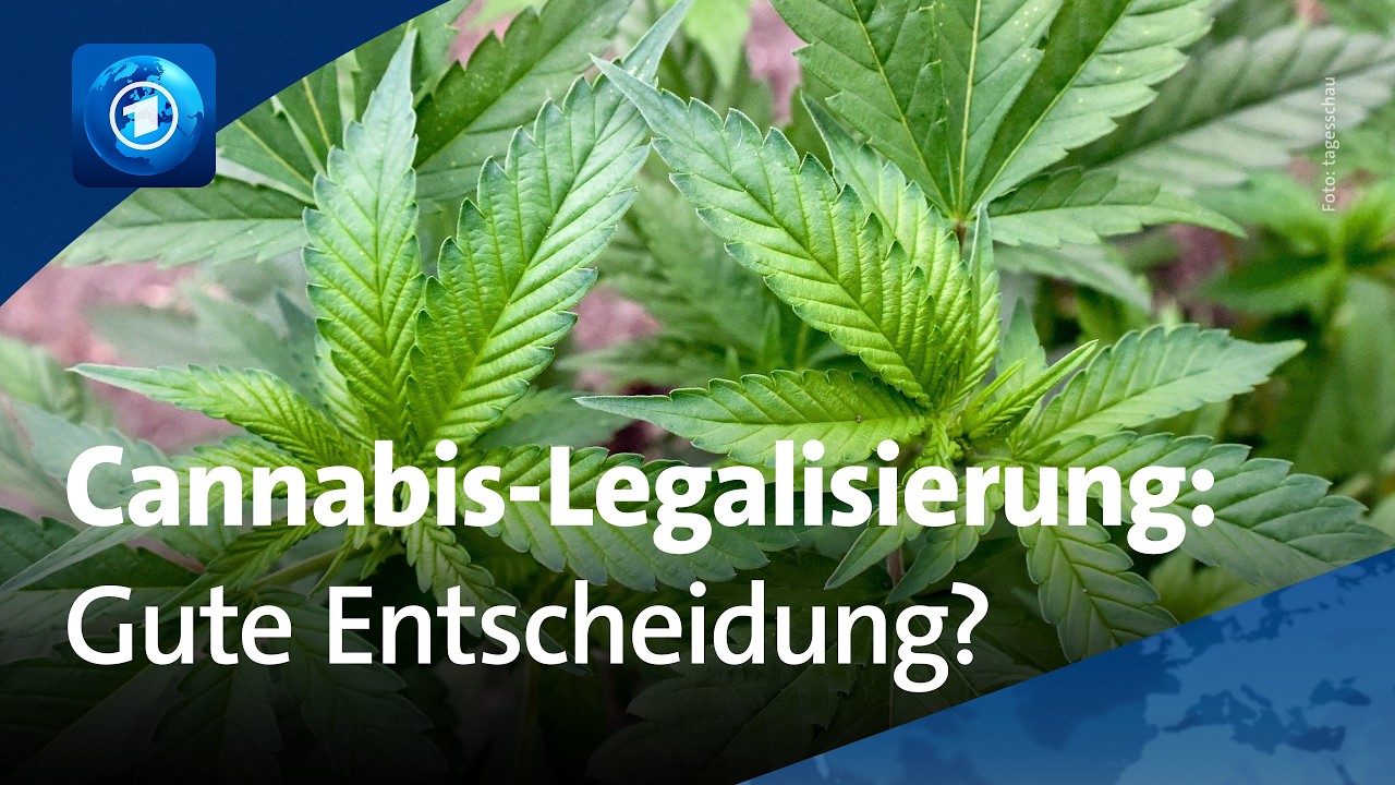 2 Jahre Cannabis-Legalisierung: Was hat es gebracht? | 🌍 tagesschau24 Top-Thema, 21.8.2026
