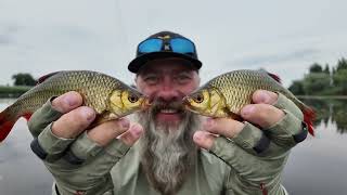 Avižadrebis mažiausiais svoriais...Crazy Fish Nano ELF Hit spinigas-Stradivarijus