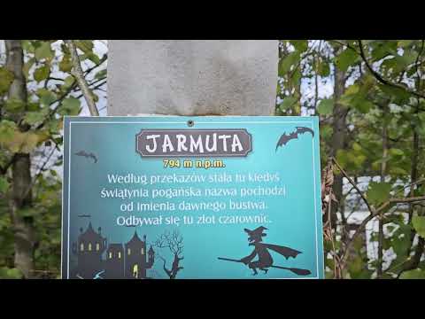 Jarmuta