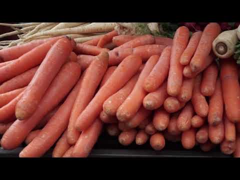 Moja pijaca: Zemunska pijaca